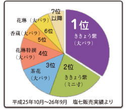 Senko Ranking