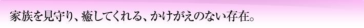 家族を見守り、癒してくれる、かけがえのない存在。
