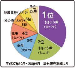 Senko Ranking